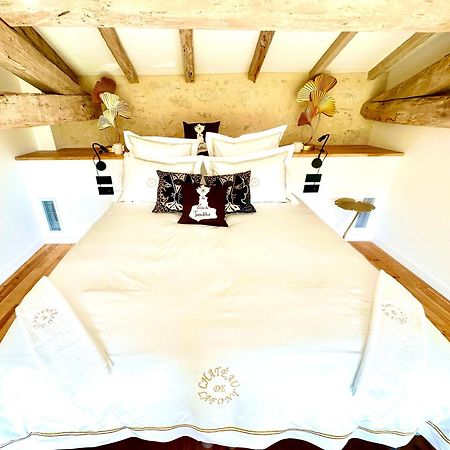 Chateau De Lafont Suites Saint-Vivien  エクステリア 写真