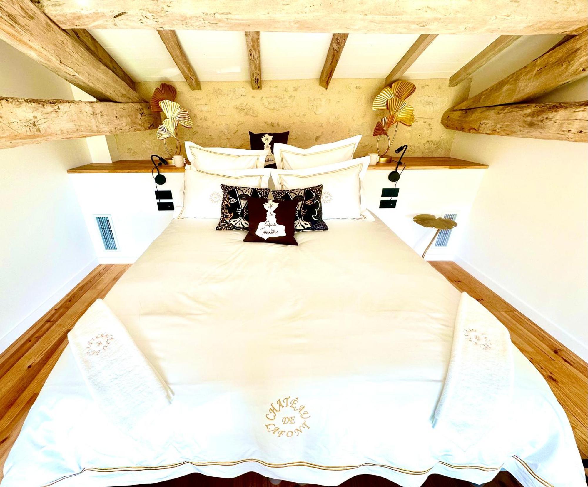 Chateau De Lafont Suites Saint-Vivien  エクステリア 写真